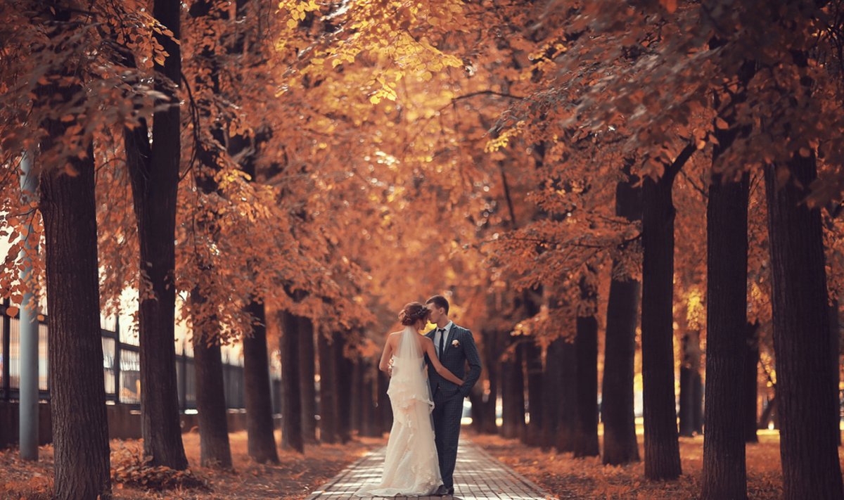 Newlyweds,Groom,And,Bride,Walking,In,Autumn,Park