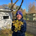 ÜLEVAADE | Staaride sügis aias! Roald Johannson ehitas lastele mudaköögi: lehtede riisumisele lõin käega
