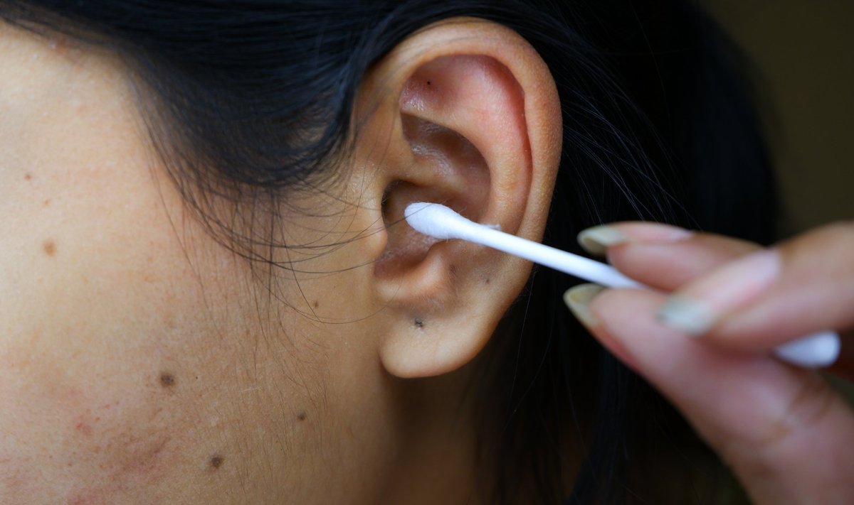 Cotton Bud