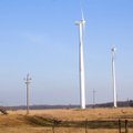 Sõnajalad investeerivad tuuleparkidesse üle 100 miljoni euro