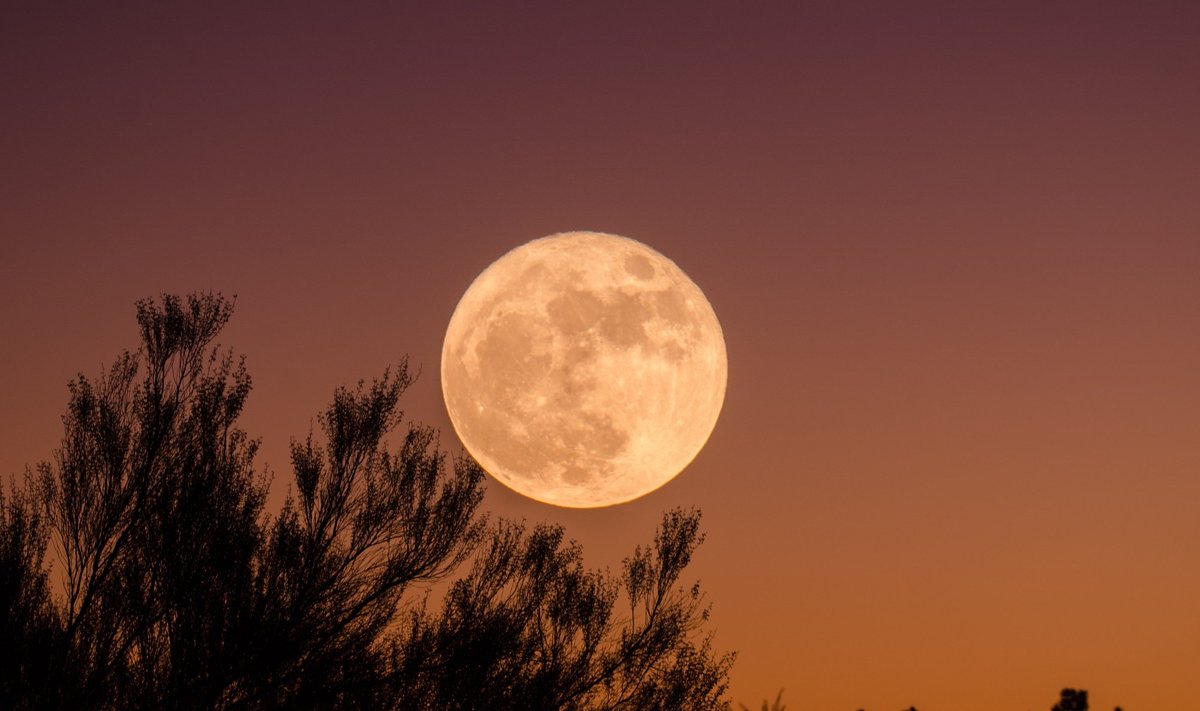 Fool Moon