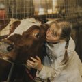 IMEILUSAD FOTOD | Farm, kus neljasadat piimaandjat nimepidi teatakse ja iga päev kaks korda kallistatakse