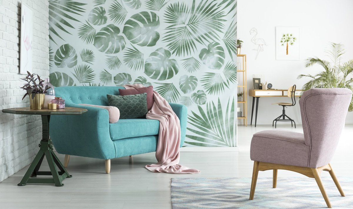 Pastel,Pink,Armchair,Standing,In,Front,Of,A,Blue,Couch