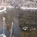 LUGEJA VIDEO: Jalutuskäik mööda talvist Pedja jõge