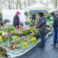 Lätlased korraldavad järgmisel aastal enneolematu Baltimaade taimelaada