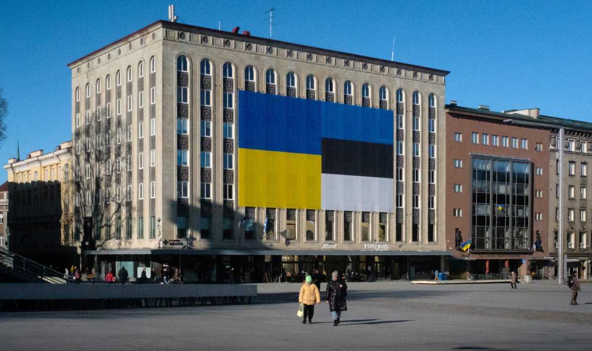 Ukraina ja Eesti lipud Vabaduse Väljakul