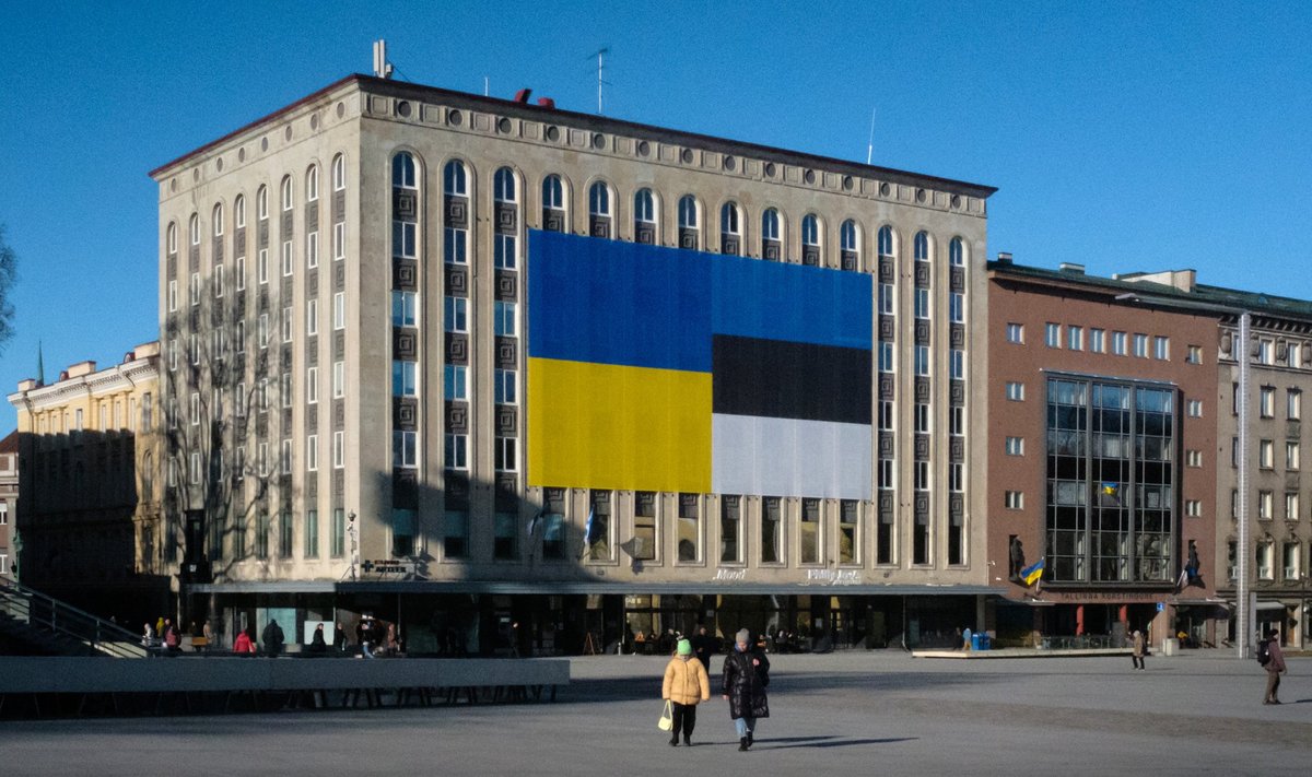 Ukraina ja Eesti lipud Vabaduse Väljakul