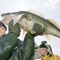 KUULA SAADET | Valime taas aasta kalandustegu ehk milline oli eelmise aasta kõige olulisem kalandussektori saavutus?
