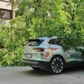 ФОТО | В Риге на официальный автомобиль чемпионата мира упало дерево