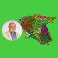 Igor Gräzini haldusreformi plaan: Põhja-Eesti jäägu startupidele, lõunas on loogika hoopis teine