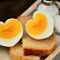 Toredaid fakte munemise, munade ja munasöömise kohta