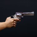 Закон принят: разрешения на оружие будут выдавать только гражданам стран ЕС и НАТО - у остальных их заберут