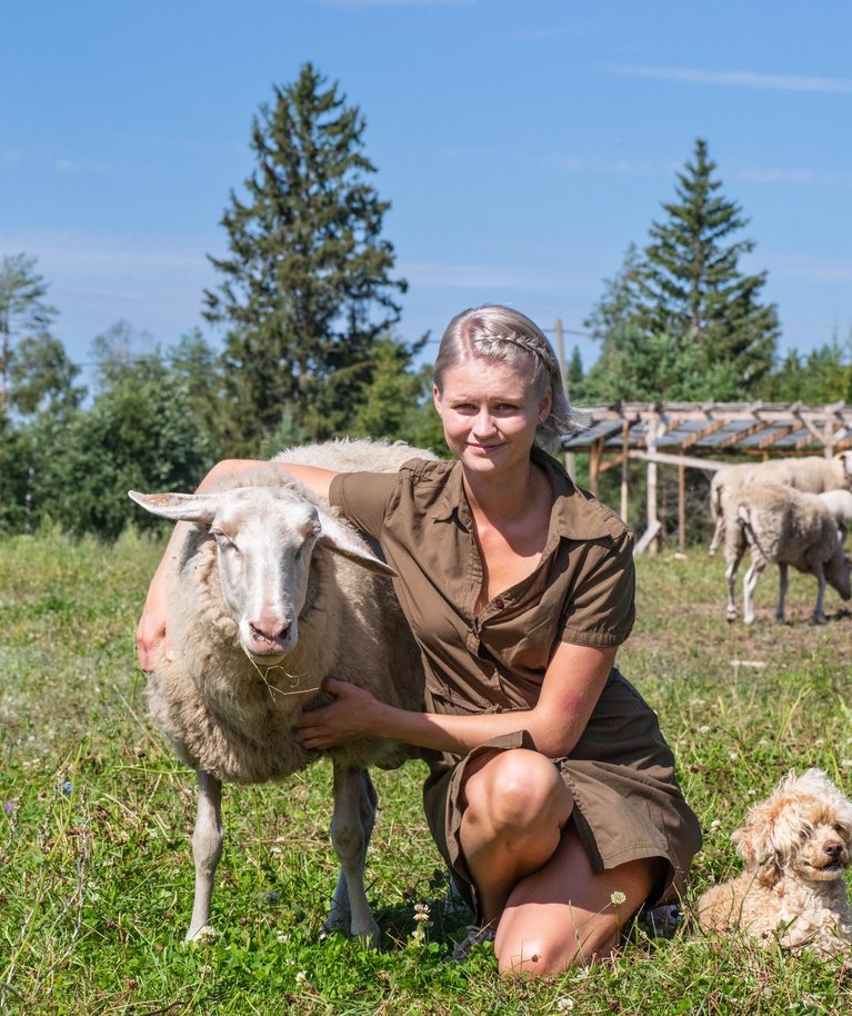 Männiku Piimalambafarmi perenaine Kaisa Tähe käib tihti viimaseid lambaid kaisutamas. 