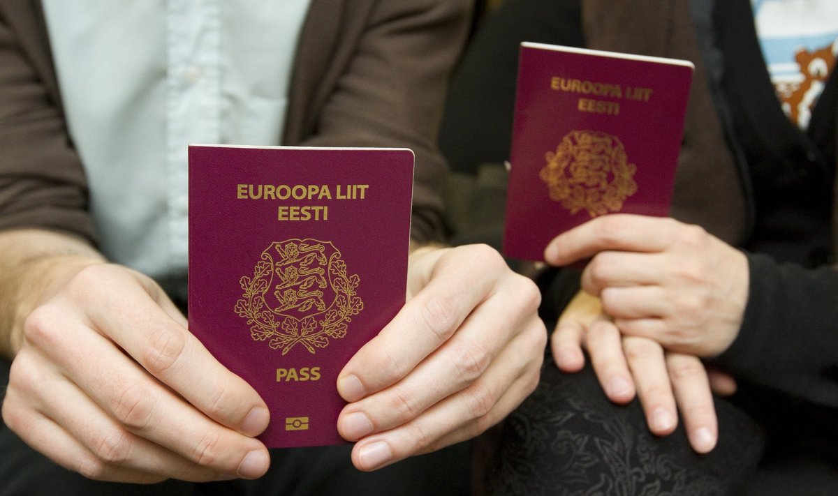 Паспорта граждан ЭР