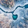Selgunud on Hiite kuvavõistluse võitjad: "Metsa süda" tõi Eestisse rahvusvahelise hiite kuvavõistluse peaauhinna