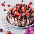 RETSEPTID | Mammud koogi peal ja sees! Proovi šokolaadikooki, kräsupead ja eriti lihtsat plaadikooki värskete ja mahlaste murelitega