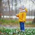 Sünoptik annab teada: tänavune kevad tuleb eelmistest palju erinevam 