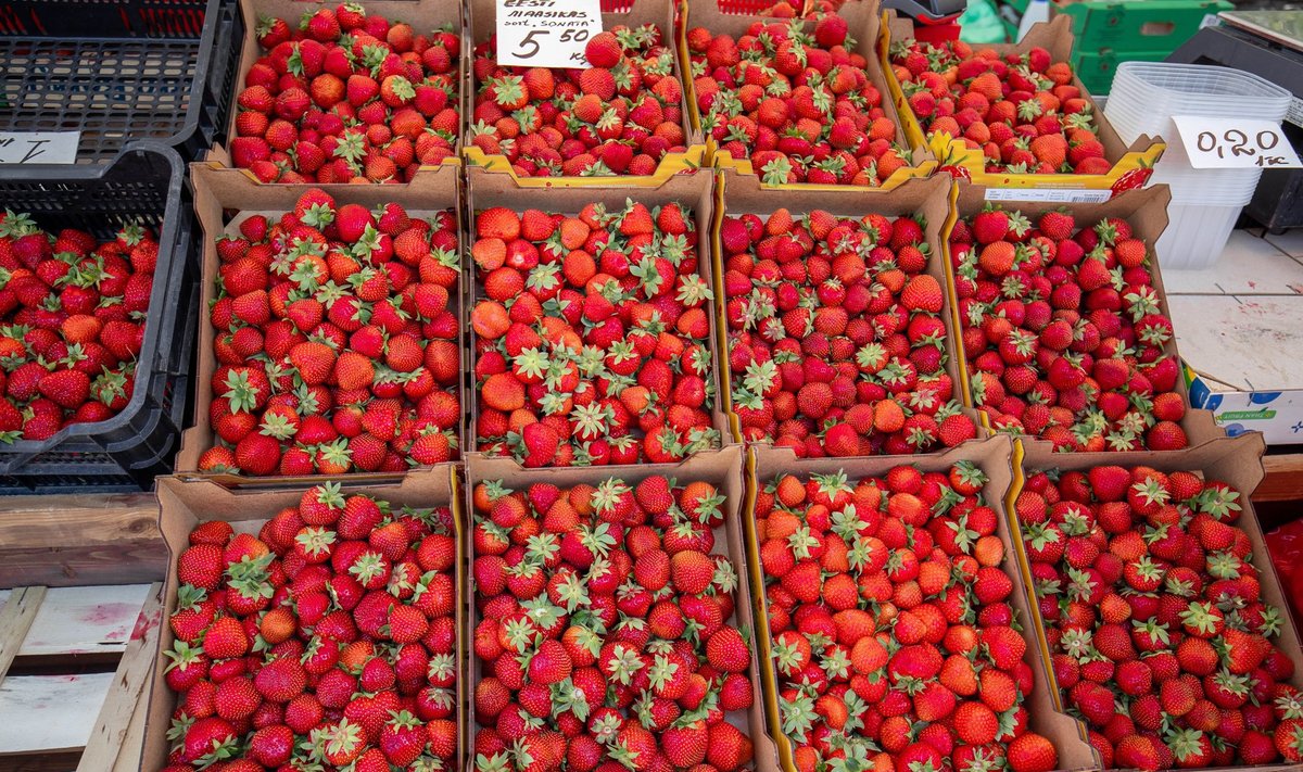 Keskturu maasikad