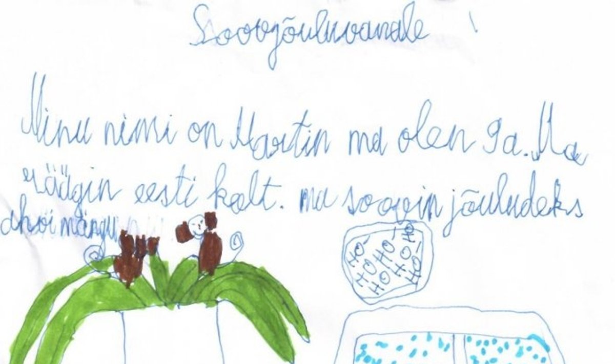 SEB on oma jõulusoovide puule kokku kogunud Eestimaa turva- ja asenduskodudes elavate laste jõuluvanale saadetud unistused ja soovid.