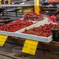 Maasikamüügi eripärad Tallinna keskturul: „Eesti maasikas väga-väga magus“ 