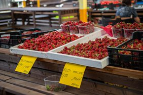 Maasikamüügi eripärad Tallinna keskturul: „Eesti maasikas väga-väga magus“