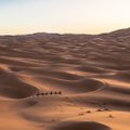 ФОТО | Глэмпинг для шейхов: необычная гостиница в песках Саудовской Аравии