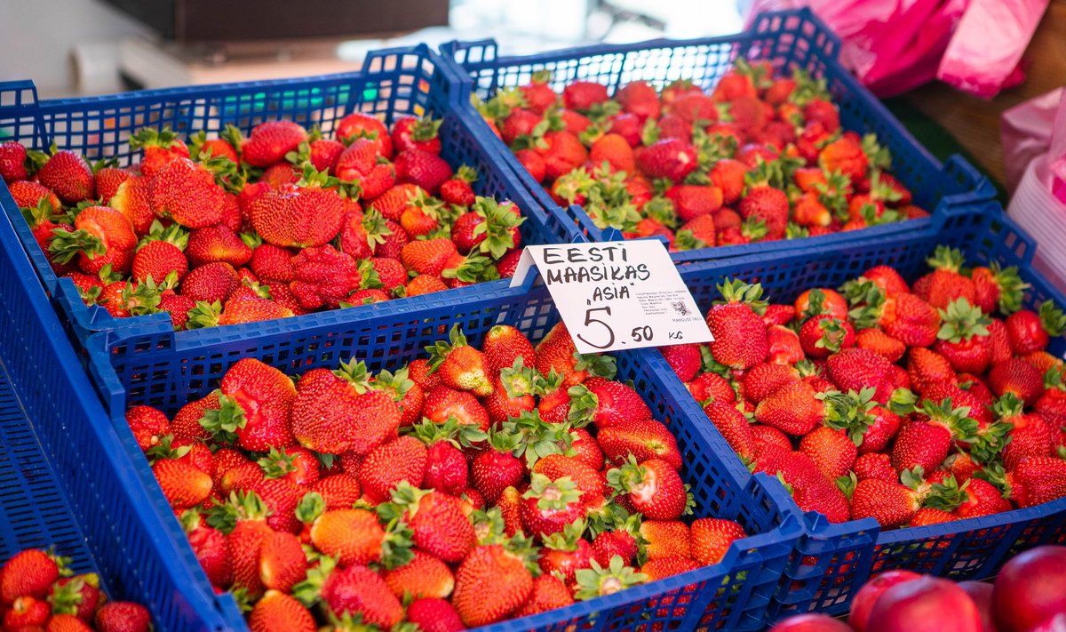 Maasikate hind turul langeb iga päevaga.