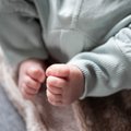 В прошлом году в Таллинне зарегистрировали почти 4500 новорожденных: какие имена были самыми популярными?