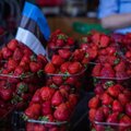 Maasikate hind kukub iga päevaga euro