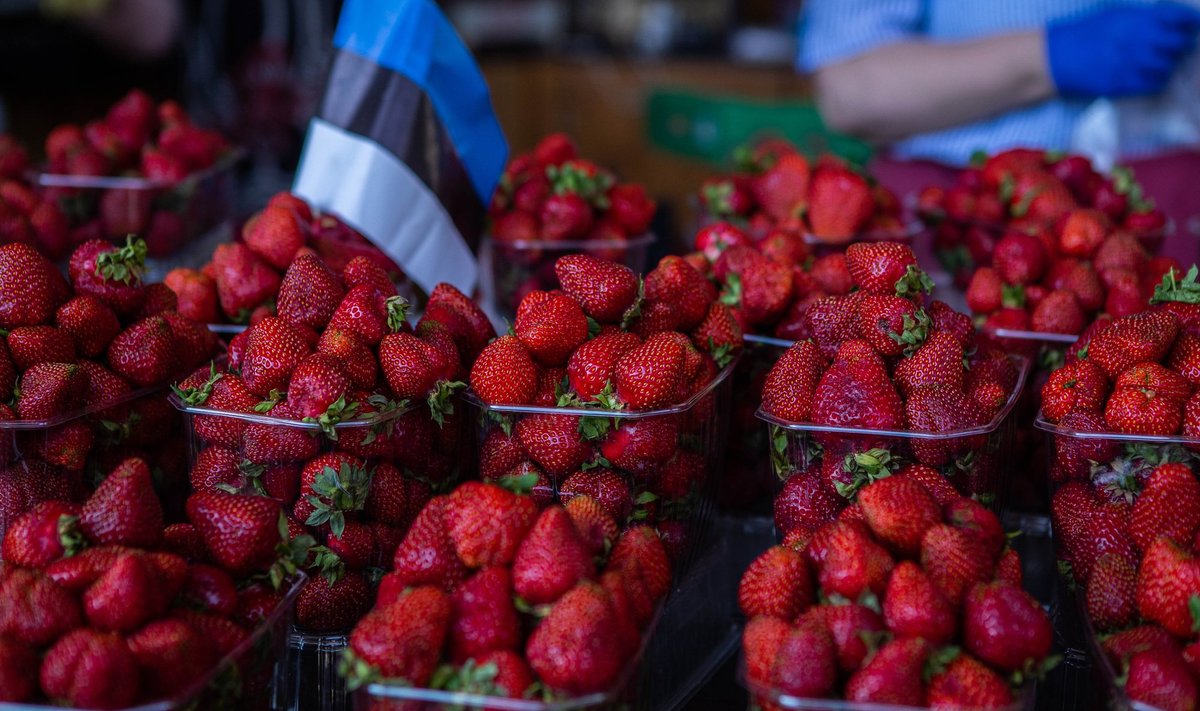 Kodumaiseid maasikaid võib märkida ka lipuga.