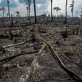Macron: G7 riigijuhid on lähedal kokkuleppele Amasoonia metsapõlengutega võitlemise abiplaani kohta