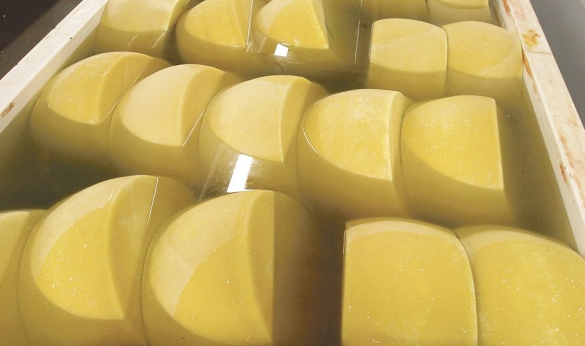 Forte juustu kettad soolvees.
