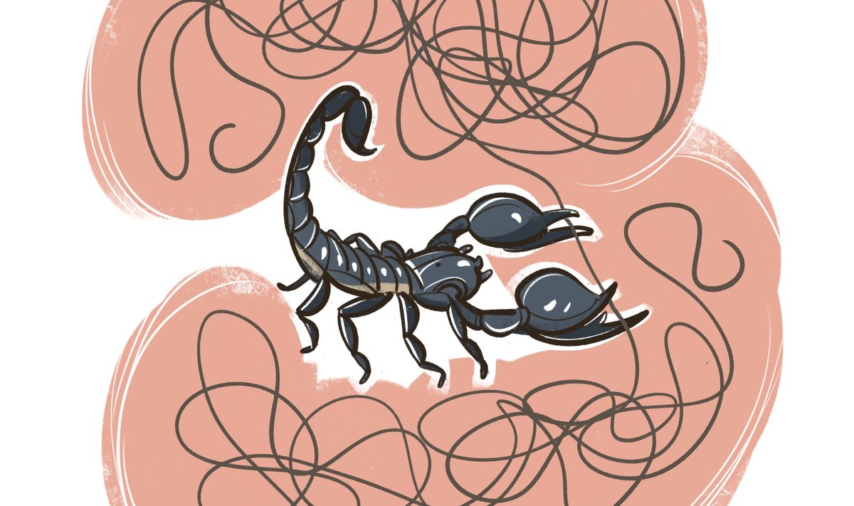 Skorpion