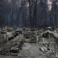 VIDEO | California maastikupõlengute ohvrite arv on tõusnud 31-ni, 200 inimest on kadunud