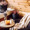 Срочно выбросьте их: из-за каких вещей в доме у вас постоянно нет денег