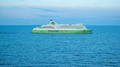 Kohutav tragöödia Tallinnast Helsingisse suundunud laeval: 10 koera kaotas elu ja neli toimetati ravile