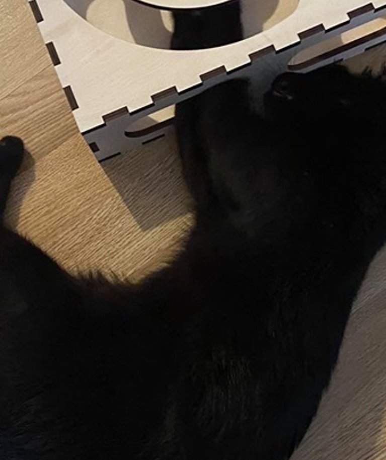 Kass lahendamas Purtse Vineeri­kojas valminud kassipuslet. Pall tuleb karbist välja saada, aga selleks on vaid üks võimalus.