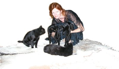 Reti Toriella koos oma kassidega.