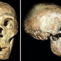Sotsiaalhoolekanne eksisteeris juba neandertallaste hulgas