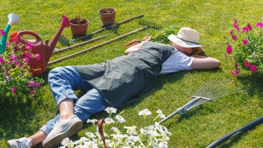 Kaitse aiataimi kõrvetava kuuma eest ja pane tähele, et on 5 aiatööd, mida sa praegu mingil juhul teha ei tohi!