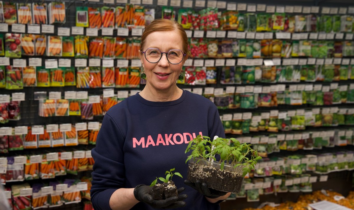 Maakodu ajakirja tegevtoimetaja Eva Luigas teeb kõik „puust ja punaseks“.