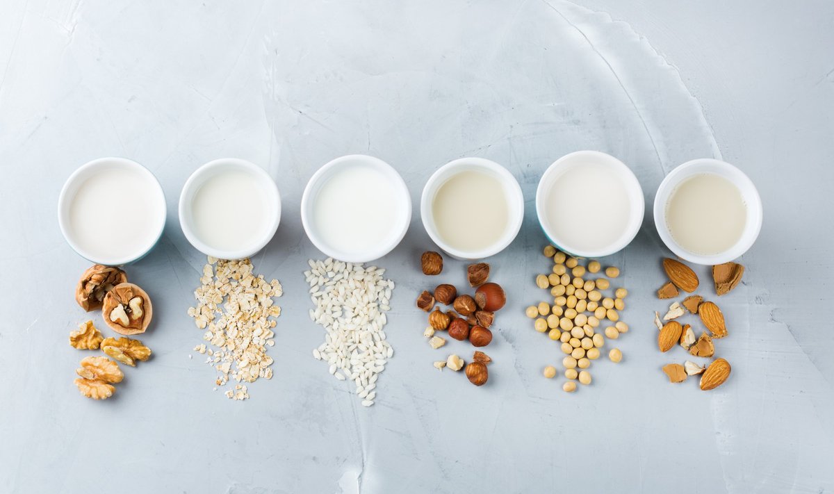 Kreeka pähkel, kaer, riis, sarapuupähkel, soja, mandlid – taimset piima saab erinevatest allikatest.