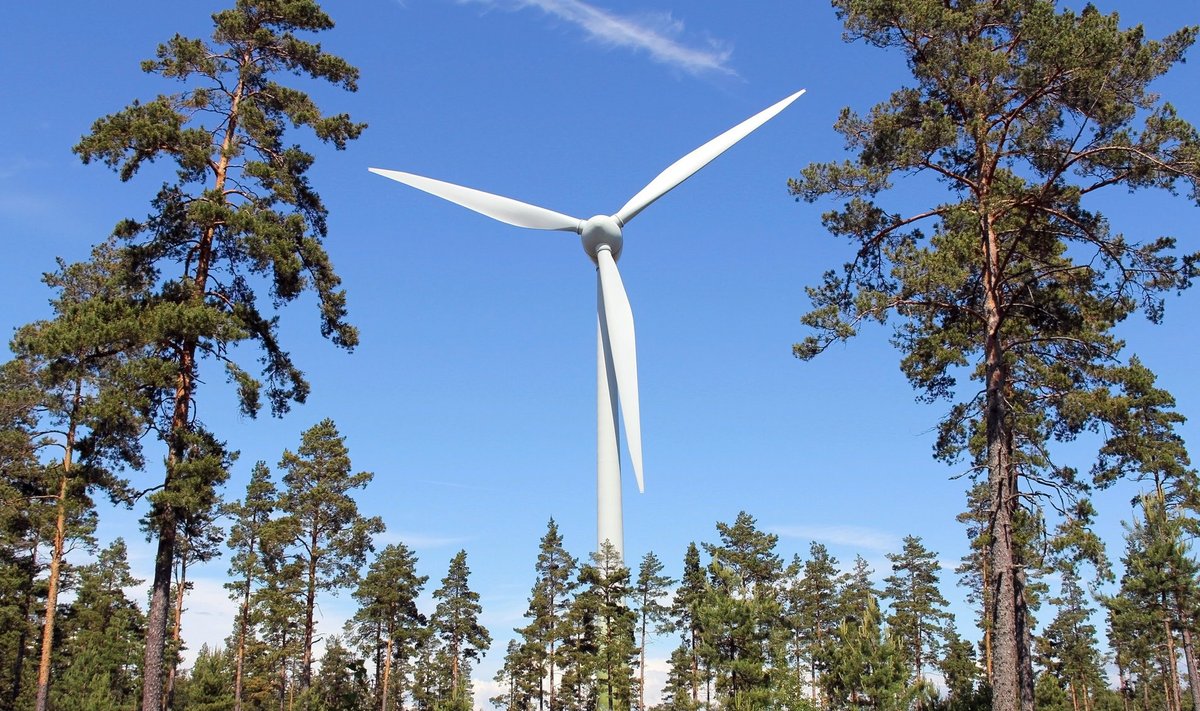 Tuulik Soomes