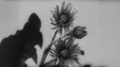 Mikhail Kaufmani 1929. aastal valminud tummfilm "Kevadel".