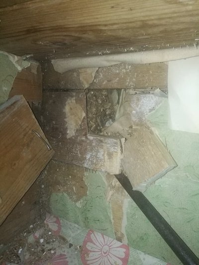 Kassipoja päästmiseks tuli sahvri seinale auk sisse lüüa