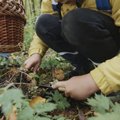 VIDEO | Seeneline, pane tähele! Vaata, milliste nippidega jõuad metsast turvaliselt koju