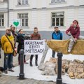 Selgus Eesti metsade tulevik. Puit hakkab maksumaksja abiga liikuma elektrijaamade ahju