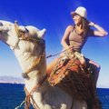 ФОТО: Елена Глебова изучила скоростные возможности верблюда