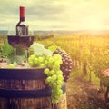 Kas Eestis kasvatatud viinamarjad ja nendest tehtud vein suudavad antioksüdantide sisalduselt lõunamaistega konkureerida?