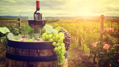 Kas Eestis kasvatatud viinamarjad ja nendest tehtud vein suudavad antioksüdantide sisalduselt lõunamaistega konkureerida?